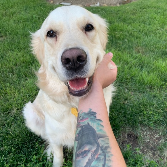 Meet your Posher, Vlada - Picture 1 of 1